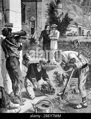 Lepers in Leper Colony on La Reunion Island in the Indian Ocean. Vintage or Old Illustration or Engraving 1888 Stock Photo