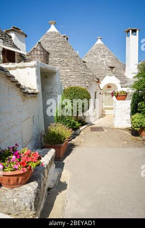 Trulli of Alberobello, Puglia, Italy: Typical houses built with dry stone walls and conical roofs. In a beautiful sunny day. Stock Photo