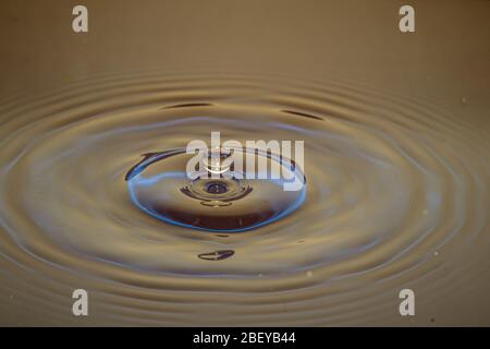 Splash of water crown on colored surface Stock Photo