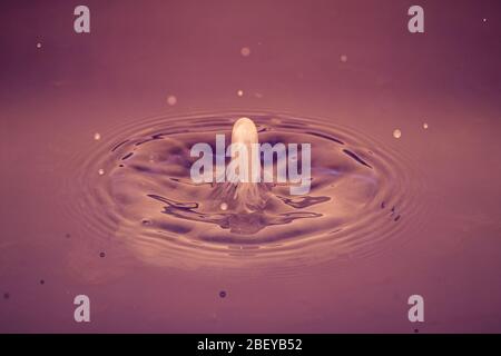 Splash of water crown on red surface Stock Photo