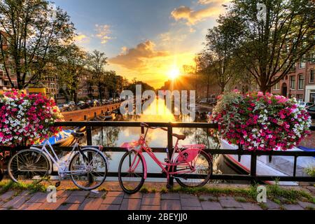 Beautiful sunrise over Amsterdam, The Netherlands, with flowers and bicycles on the bridge in spring Stock Photo