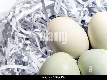 Eggs on the straw paper in recycle plastic bag, raw food package Stock Photo
