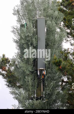 Mobile phone mast disguised to look like a tree in the New Forest Stock Photo