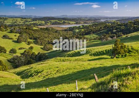 View over hills near town of Snells Beach, Kawau Bay in distance, Mahurangi Peninsula, Auckland Region, North Island, New Zealand Stock Photo