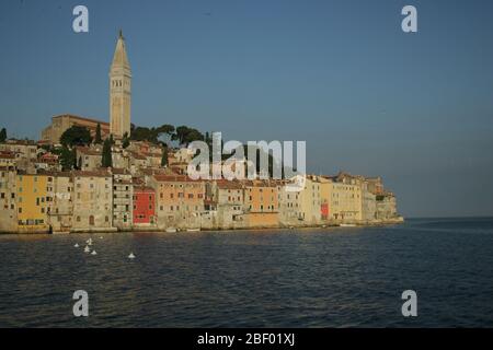 The bell tower of Saint Euphemia’s Basilica rises in the middle of the historic old town of Rovinj. Stock Photo
