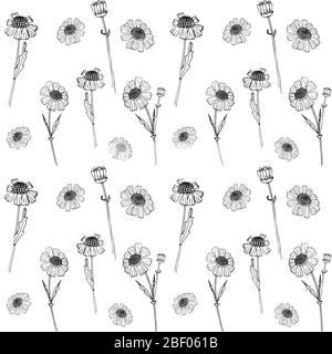 seamless pattern of drawn with ink daisies flowers. Vector illustration. Page for coloring. flowers isolated on a white background Stock Vector
