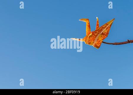 Beautiful Japanese origami of yellow and red paper, folded in the shape of an orizuru or paper crane, on a light blue background Stock Photo
