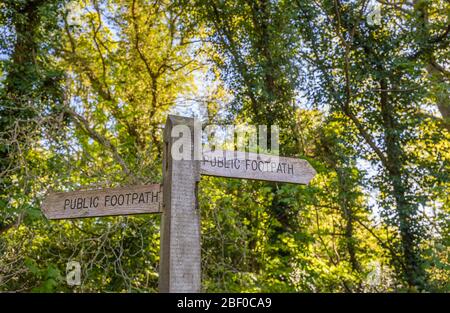 Typical wooden fingerpost on a public footpath in woodland in rural Woking, Surrey, south-east England in spring, pointing both left and right Stock Photo