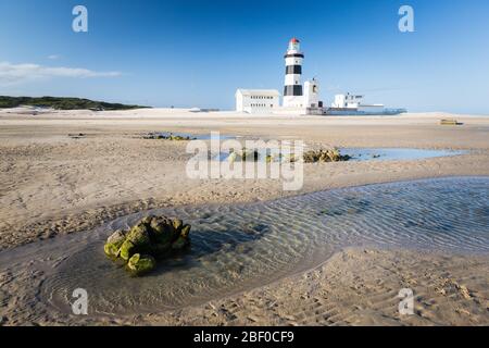 Cape Recife Nature Reserve in Algoa Bay, Nelson Mandela Bay, Port Elizabeth, Eastern Cape, South Africa, offers beautiful views of pristine beaches Stock Photo