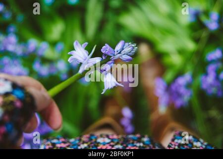 A girl or woman picking a bluebell on a spring day, wearing a floral dress and cowboy boots. Focus on the bluebell in hand. Shallow dof