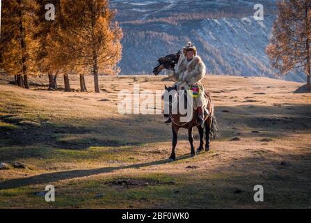 Mongolian eagle hunter, Kazakh rides horse with trained eagle, Bayan-Olgii province, Mongolia Stock Photo