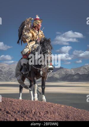 Mongolian eagle hunter, Kazakh rides with trained eagle on horseback in front of mountains, Bajan-Oelgii province, Mongolia Stock Photo