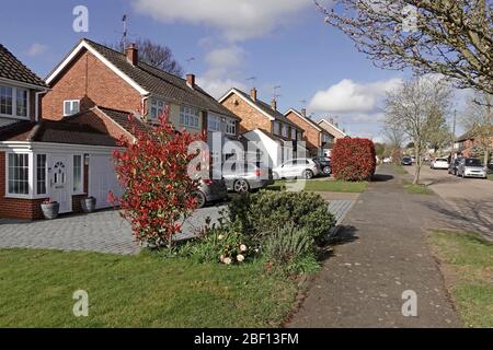 Housing street scene some semi detached homes paving over front garden with paved driveway for car parking space some keep home lawn  Essex England UK Stock Photo