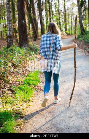 Young woman wandering through the forest. In her hand she holds a walking stick. View from behind with backlight. Location: Germany, North Rhine Westp Stock Photo