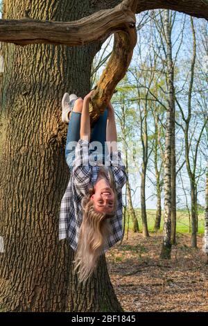 Young woman hangs upside down from a branch of a big tree. Location: Germany, North Rhine Westphalia, Hoxfeld Stock Photo