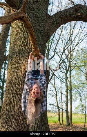 Young woman laughingly hangs upside down on a branch of a thick tree. View from the front. Location: Germany, North Rhine Westphalia, Hoxfeld Stock Photo