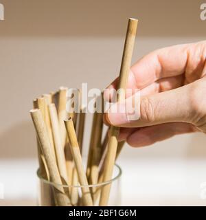 Bamboo drinking straws - Sustainable reusable straws - Raw Straw