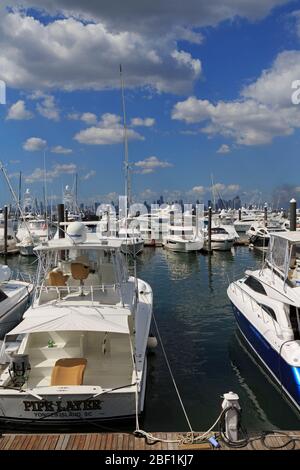 Flamenco Marina, Amador District, Panama City, Panama, Central America Stock Photo