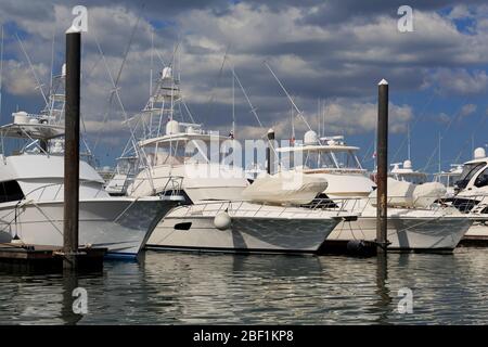 Flamenco Marina, Amador District, Panama City, Panama, Central America Stock Photo