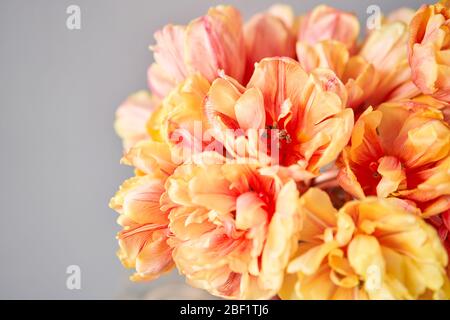 Beautiful orange and with red streaks tulips in vase. Flower background. Floral Wallpaper. Copy space Stock Photo