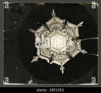 wilson-bentleys-snowflake-579a-c-1890-al