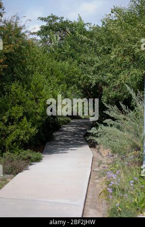 Jardi Botanic de Barcelona, Carrer del Doctor Font i Quer, Monjuic, Bacelona, Spain by OAB Office Architecture Carlos Ferrater, Josep Lluis Canosa Stock Photo