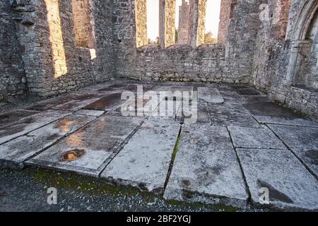 The Cong Abbey ruing in Cong, County Mayo, Connemara, Republic of Ireland Stock Photo