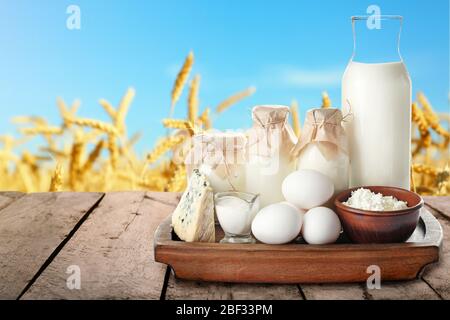 Different milk products on wooden table in wheat field Stock Photo
