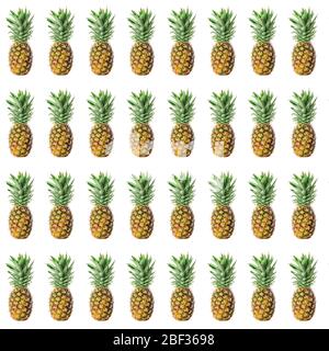 Many fresh ripe pineapples on white background Stock Photo