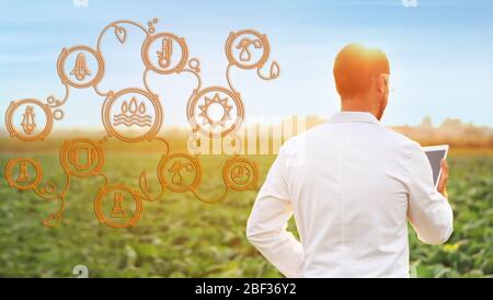 Male agricultural engineer using iot application while working in field. Smart farming and digital agriculture Stock Photo