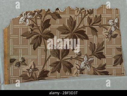Sidewall. Portion of a paper showing a pattern of vines and flowers against a field divided into squares by paired white lines. Printed in white and grays on gray ground. Stock Photo