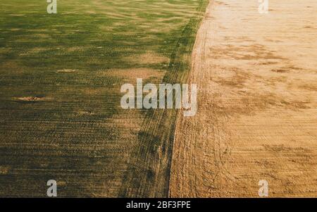 Agricultural fields aerial view. wide meadow landscape. grass abstract background