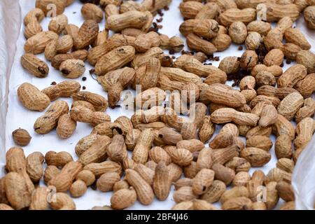 Peanuts drying in the sun Stock Photo