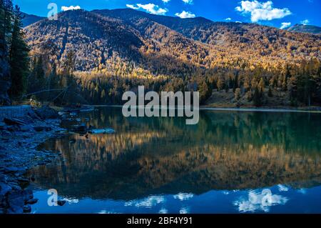 Kanas Lake surrounded by conifer forests and the mountains above. Xinjiang Province China near Russian and Kazakh borders. Stock Photo