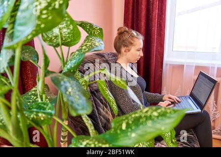 Woman working with laptop at home. Flower in front. Stock Photo