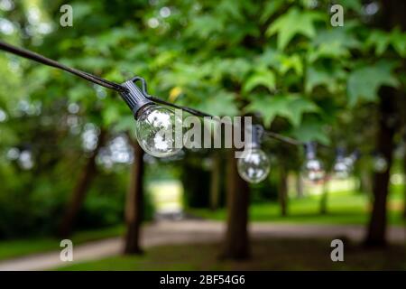 light bulb decor in outdoor party, a garland of light bulbs hanging between the trees Stock Photo