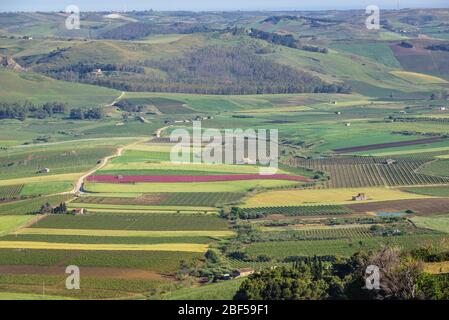 Patchwork of fields and vineyards in Belice valley seen from Salemi town located in the province of Trapani in southwestern Sicily, Italy Stock Photo