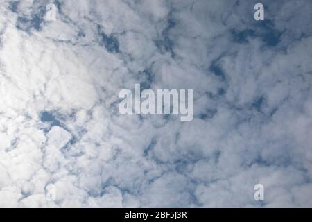 Blue sky with soft puffy clouds, close-up background. Stock Photo