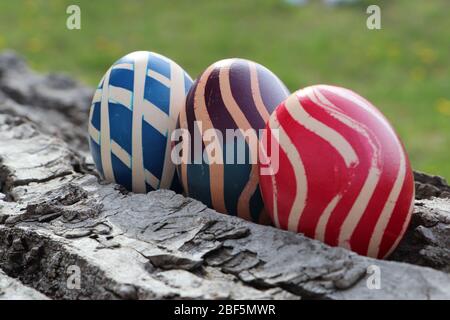 Eastern eggs on a walnut bark with a grass background Stock Photo