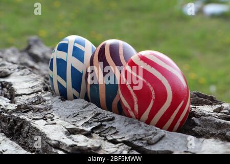 Eastern eggs on a walnut bark with a grass background Stock Photo