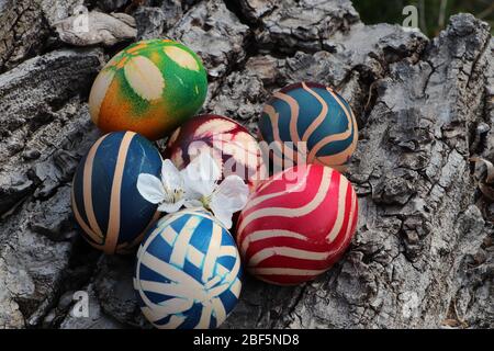 Tribal pattern painted Easter eggs with white tree flowers on a walnut bark background. Stock Photo