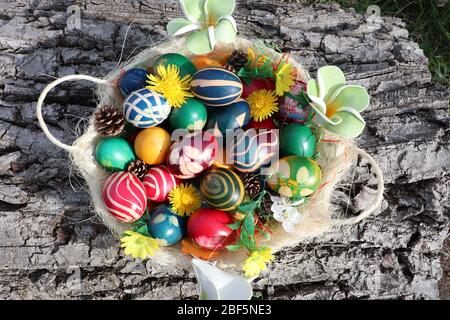 Easter egg basket with colorful painted eggs decorated with flowers on walnut bark background Stock Photo