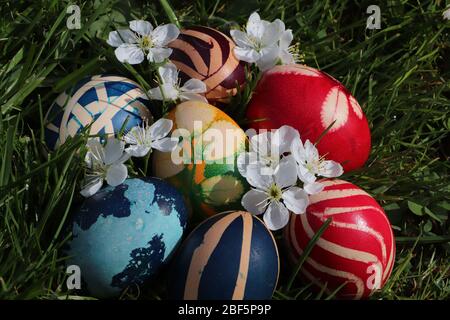 Easter eggs colorful painted on grass background Stock Photo