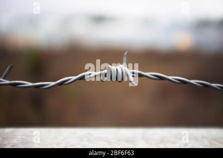Close up on a barb wire with blury background Stock Photo