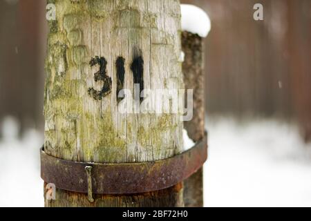 A close up of a numbered telephone pole in the middle of the woods Stock Photo