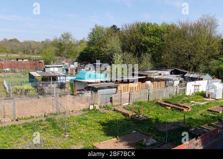 An allotment in Swillington, is located to the rear of Preston View Stock Photo