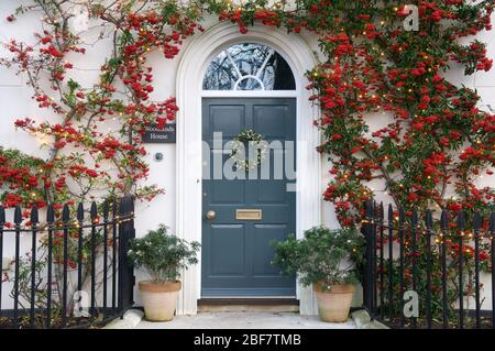 Front door of a house decorated with a Christmas wreath framed by a Pyracantha plant covered in red berries and Xmas lights. Poundbury, Dorchester, UK. Stock Photo