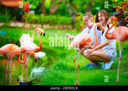 young couple feeding flamingo birds with hands on pond Stock Photo