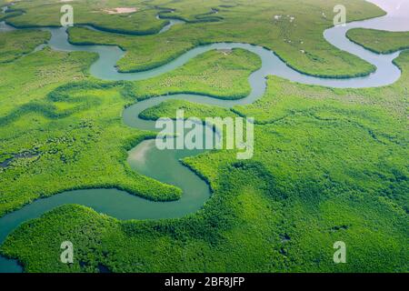 Aerial view of Amazon rainforest in Brazil, South America. Green forest. Bird's-eye view. Stock Photo