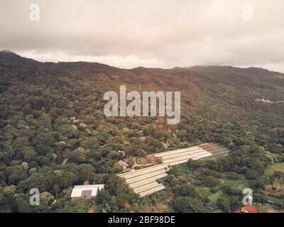 Big cacao farm in mountain landscape aerial drone view Stock Photo